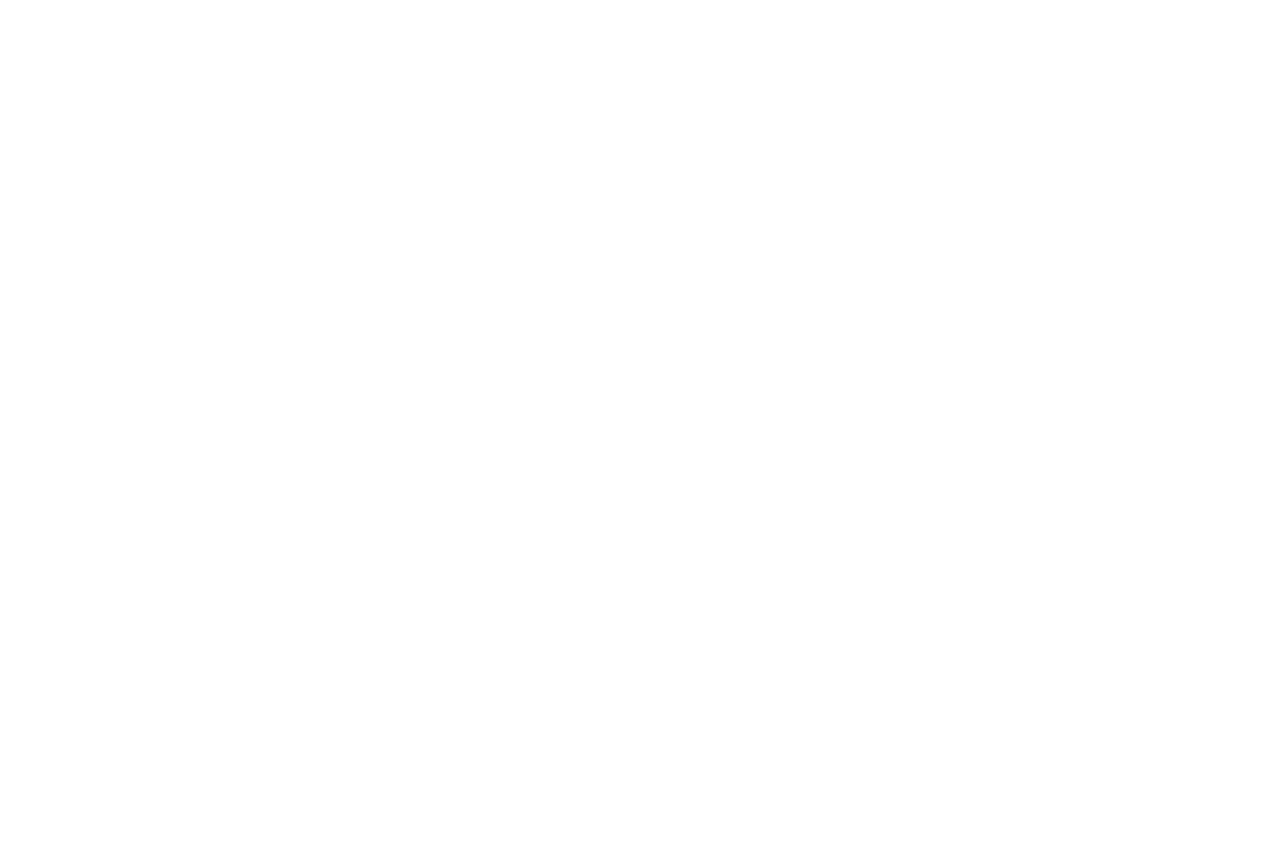 The Armadillo Ranch